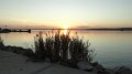 DSC00861 00